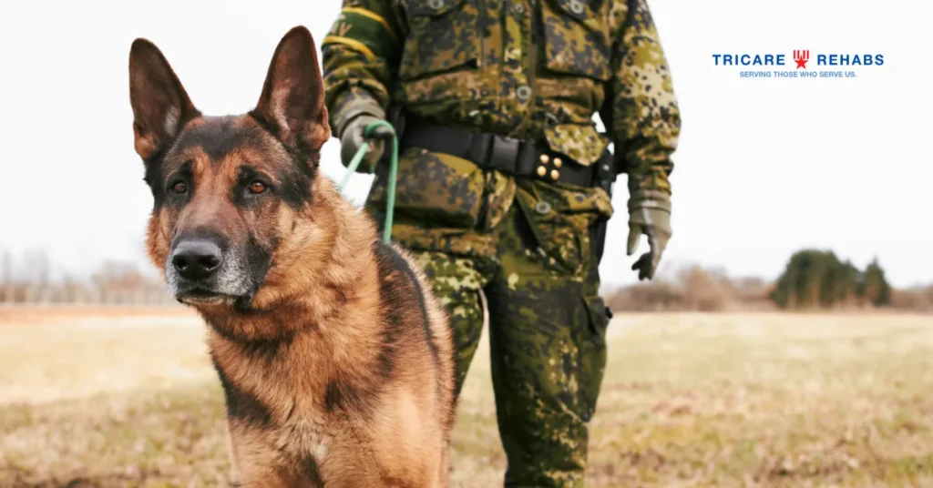 Army ASAP program guidance concept pic shows soldier with german shepherd