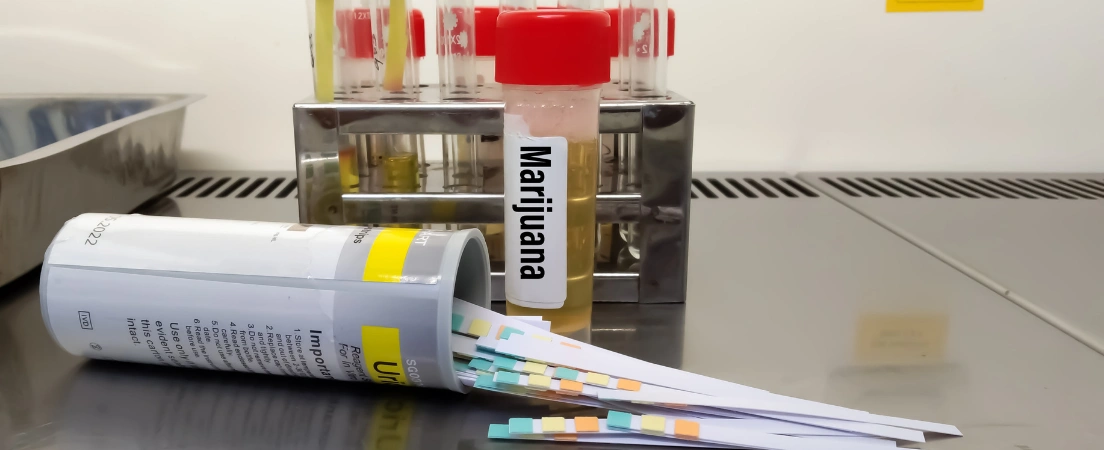 Image of laboratory urine test strips showing screening procedures for synthetic cannabinoids in military drug tests